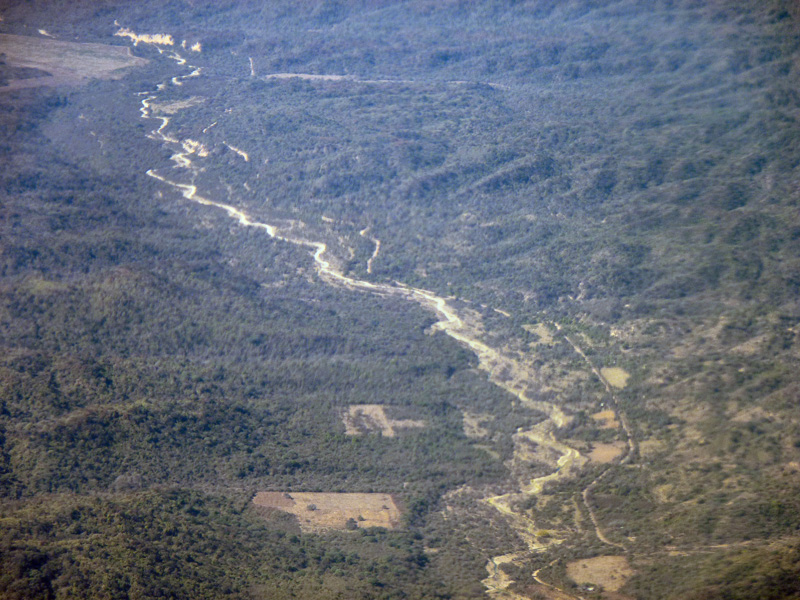 Forêts du Brésil et/ou du Paraguay 