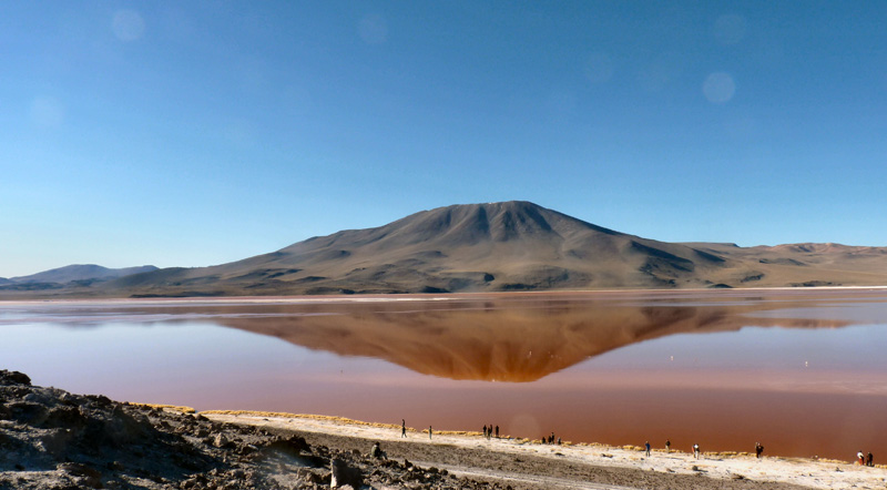  P1280256 obl Parmi les joyaux de l'Altiplano andin, la Laguna Colorada. La couleur lie-de-vin s'explique par l'abaondance de bactéries. Les couleurs du lac changent en fonction du froid, du vent et du cadran solaire 