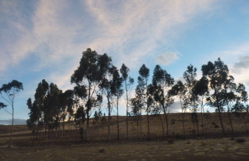 Le paysage, lunaire et tourmenté jusqu'ici, laisse peu à peu la place à une géographie très hispanique 