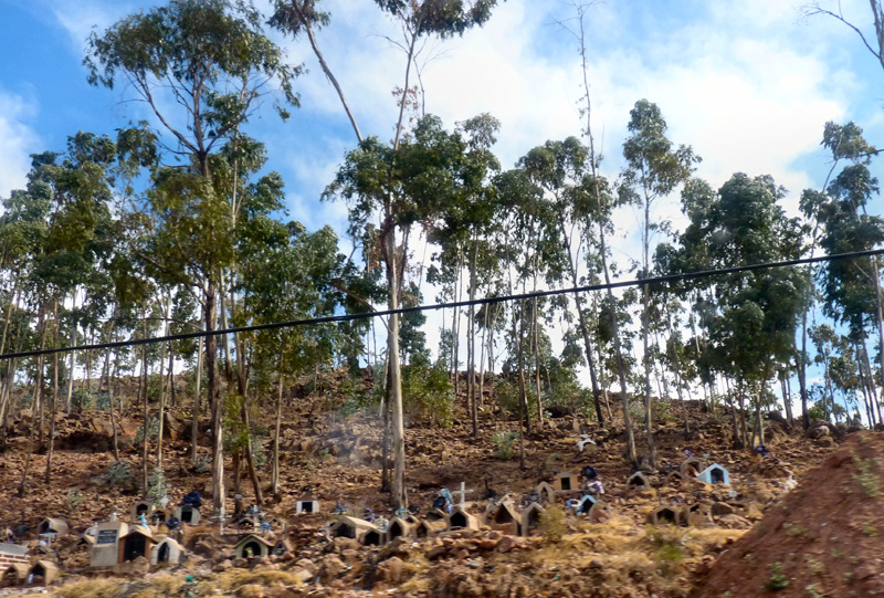  Sur le chemin du retour, à flanc de colline, un cimetière aux tombes miniatures à l'ombre d'eucalyptus 