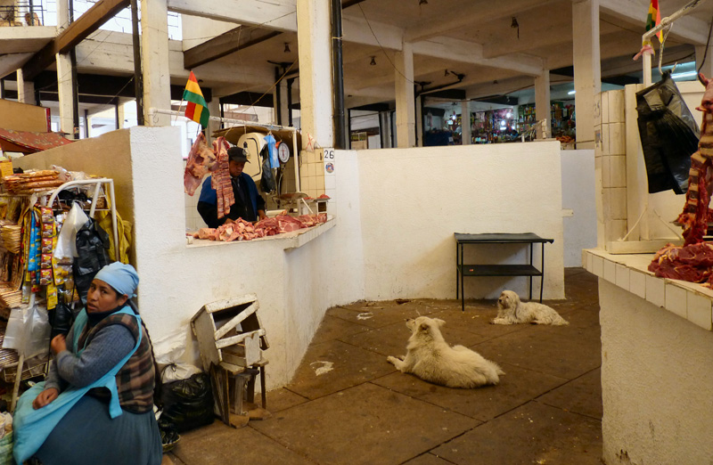 En repassant par le Mercado, cette photo dédiée à M...e (elle se reconnaitra) et à tous les heureux chiens du continent sud américain 