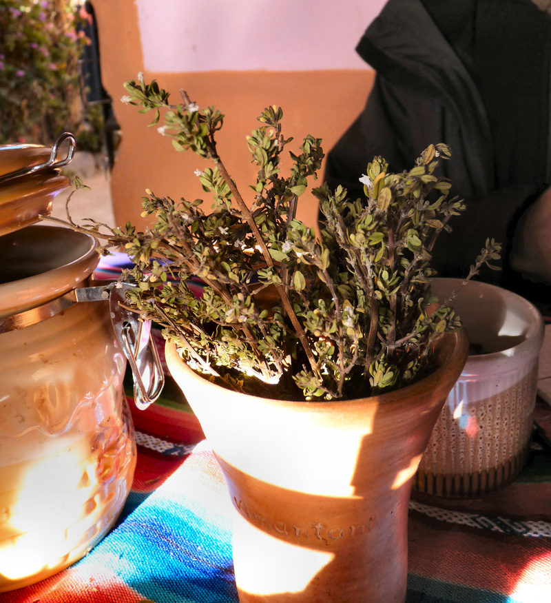 Fleurs de mounia (aident à respirer). Le lendemain, Elena complète le traitement de Marie avec des infusions de mounia et d' l'eucalyptus