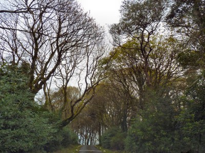 irlande-03-novembre-enr-web-800-001