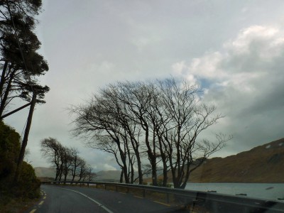 irlande-03-novembre-enr-web-800-012