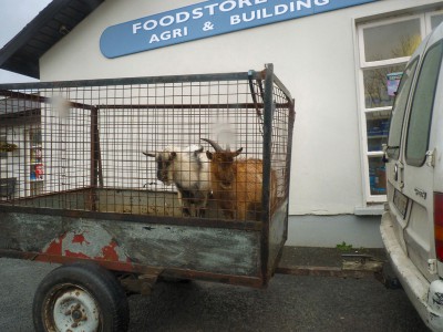irlande-03-novembre-enr-web-800-021