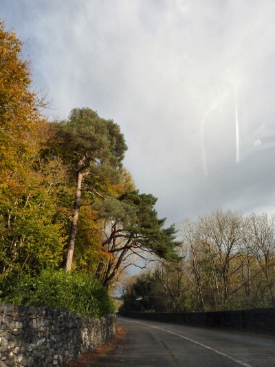 irlande-03-novembre-enr-web-800-029