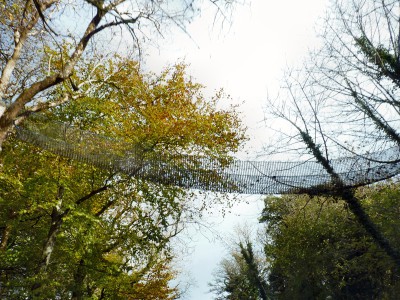 irlande-03-novembre-enr-web-800-031