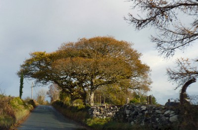 irlande-03-novembre-enr-web-800-037