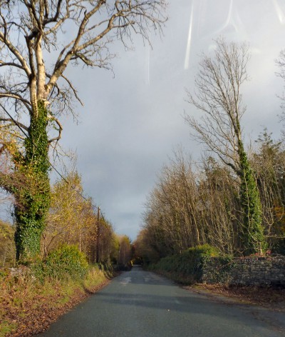 irlande-03-novembre-enr-web-800-038