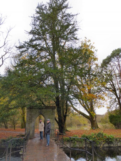 irlande-03-novembre-enr-web-800-060