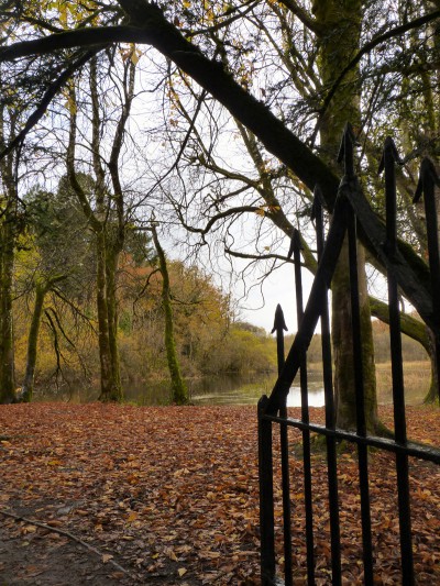 irlande-03-novembre-enr-web-800-063