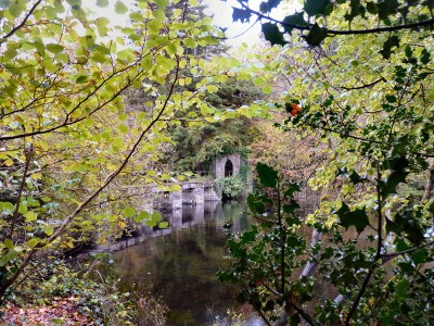 irlande-03-novembre-enr-web-800-064