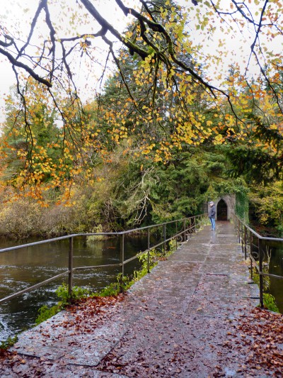 irlande-03-novembre-enr-web-800-065