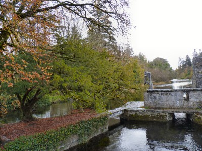 irlande-03-novembre-enr-web-800-066