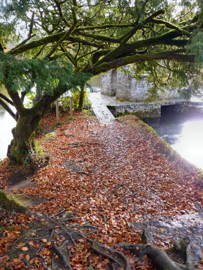 irlande-03-novembre-enr-web-800-069