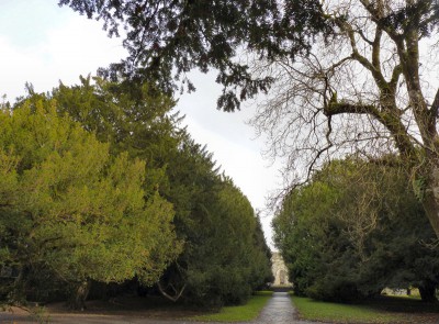 irlande-03-novembre-enr-web-800-072