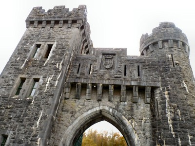 irlande-03-novembre-enr-web-800-083