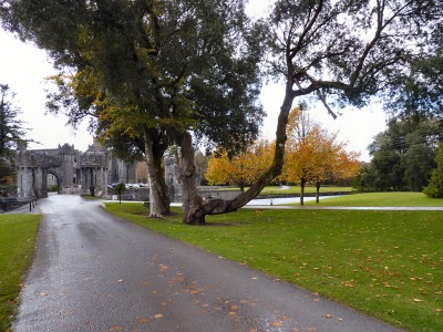 irlande-03-novembre-enr-web-800-088