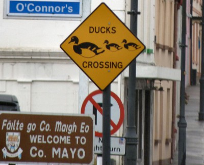 irlande-03-novembre-enr-web-800-105
