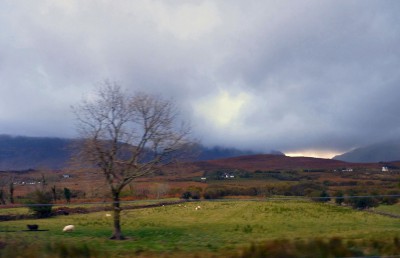 irlande-03-novembre-enr-web-800-106
