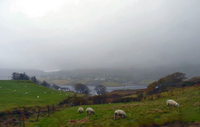 irlande-07-novembre-enr-web-800-023