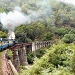 inde-sud-04-aout-ooty-enr-web-800-P1050519