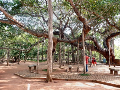 inde-sud-15-16-17-juillet-pondichery-tanjore-enr-web-800-P1010151