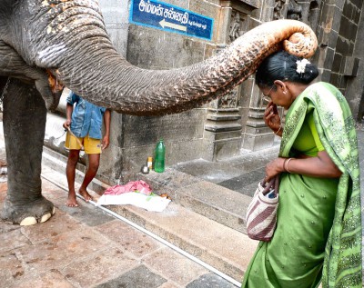 inde-sud-15-16-17-juillet-pondichery-tanjore-enr-web-800-P1010389