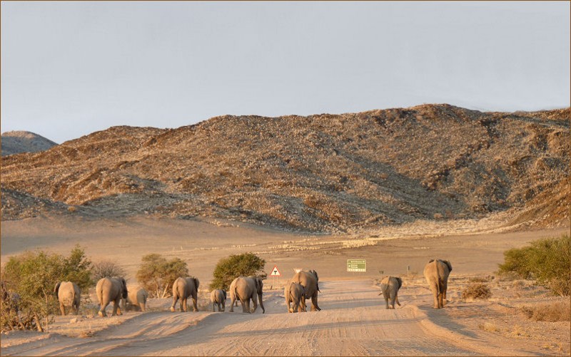 NAMIBIE